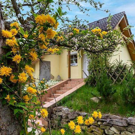 Apartmanovy Dum Vilemovice Екстер'єр фото