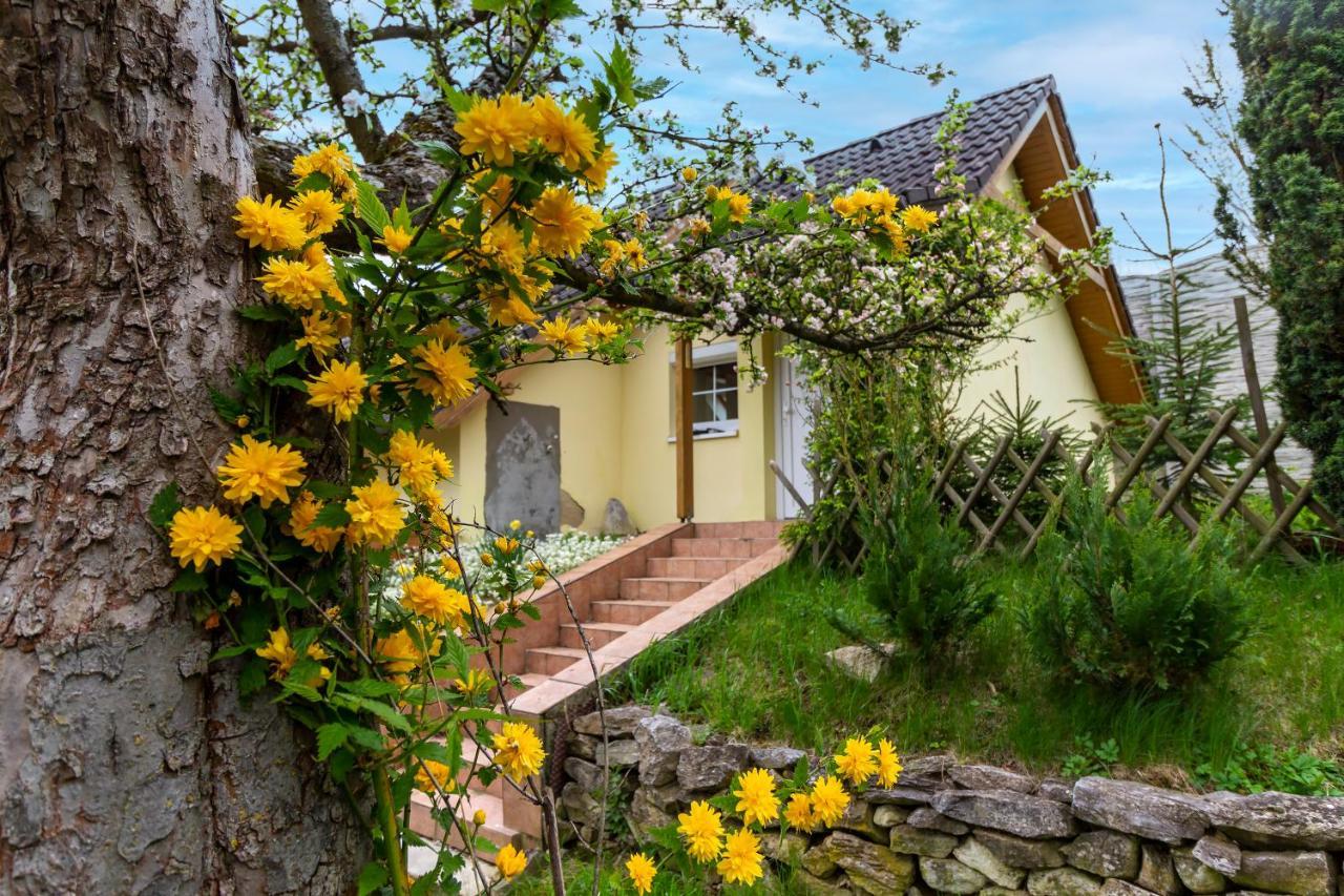 Apartmanovy Dum Vilemovice Екстер'єр фото